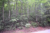 Undeveloped Land for sale in McDowell County, North Carolina