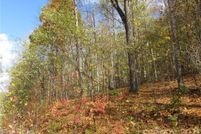 Undeveloped Land for sale in Madison County, North Carolina