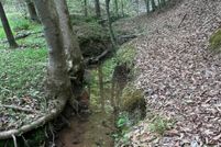 Recreational Property for sale in Rutherford County, North Carolina