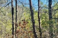 Undeveloped Land for sale in Burke County, North Carolina