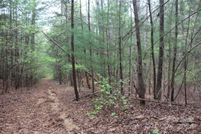 Undeveloped Land for sale in Burke County, North Carolina