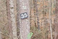 Property for sale in Madison County, North Carolina