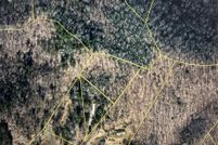 Property for sale in Madison County, North Carolina