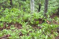 Property for sale in Transylvania County, North Carolina