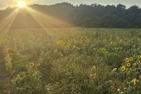 Property for sale in Cleveland County, North Carolina