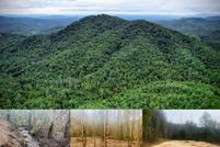 Property for sale in Cherokee County, North Carolina