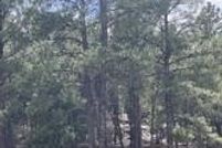 Property for sale in San Miguel County, New Mexico