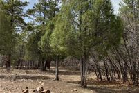 Undeveloped Land for sale in Rio Arriba County, New Mexico