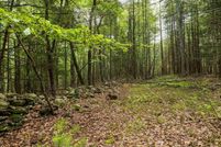 Undeveloped Land for sale in Ulster County, New York