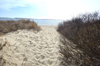 Undeveloped Land for sale in Barnstable County, Massachusetts