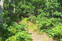 Property for sale in Barnstable County, Massachusetts