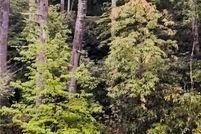 Property for sale in Oconee County, South Carolina