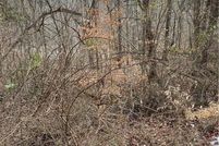 Property for sale in Kanawha County, West Virginia