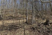 Undeveloped Land for sale in Jackson County, West Virginia