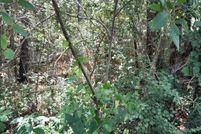 Property for sale in Berkeley County, South Carolina