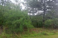 Undeveloped Land for sale in Orangeburg County, South Carolina