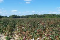 Property for sale in Orangeburg County, South Carolina