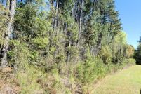 Undeveloped Land for sale in Orangeburg County, South Carolina