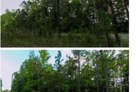 Property for sale in Tuscaloosa County, Alabama