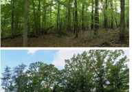 Property for sale in Tuscaloosa County, Alabama