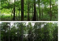 Property for sale in Tuscaloosa County, Alabama