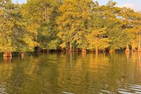 Property for sale in Sabine Parish, Louisiana