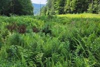 Undeveloped Land for sale in Berkshire County, Massachusetts