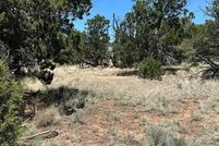 Undeveloped Land for sale in Catron County, New Mexico