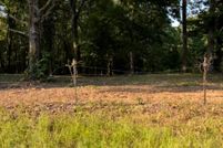 Undeveloped Land for sale in Saline County, Arkansas