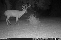 Property for sale in Dodge County, Minnesota