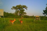 Property for sale in Brazoria County, Texas