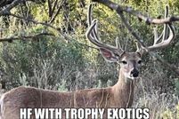 Property for sale in Brown County, Texas