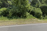 Property for sale in Marshall County, Mississippi