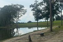 Property for sale in Geneva County, Alabama