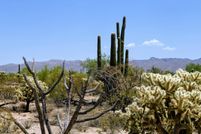 Undeveloped Land for sale in Pinal County, Arizona