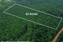 Property for sale in Macon County, Alabama