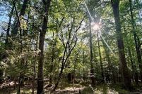 Property for sale in Butler County, Alabama