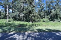 Undeveloped Land for sale in Levy County, Florida