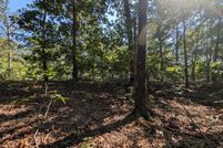 Farm Property for sale in Calloway County, Kentucky