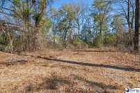 Undeveloped Land for sale in Florence County, South Carolina