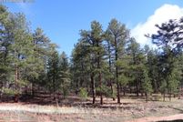 Undeveloped Land for sale in Douglas County, Colorado