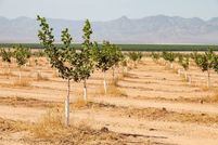 Property for sale in Cochise County, Arizona