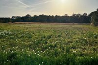 Property for sale in Accomack County, Virginia