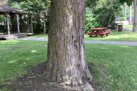 Property for sale in Otsego County, New York