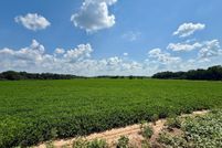 Property for sale in Houston County, Alabama