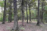 Property for sale in Fayette County, Tennessee