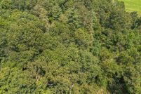 Undeveloped Land for sale in Livingston County, Kentucky