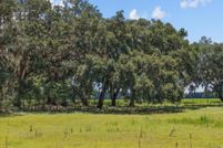 Undeveloped Land for sale in Dixie County, Florida