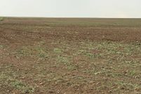 Property for sale in Cheyenne County, Colorado