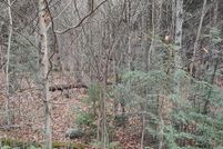 Property for sale in Wayne County, Pennsylvania